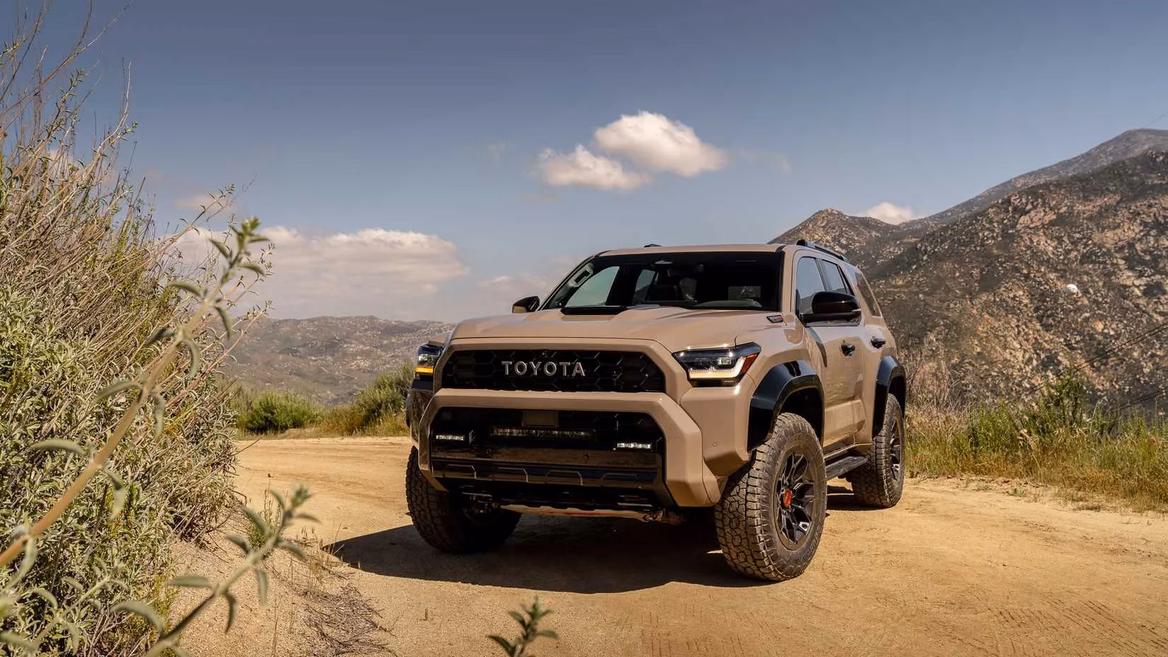 omg-you-guys-i-got-the-inside-scoop-on-the-buzz-awards-2026-nominees-image-4