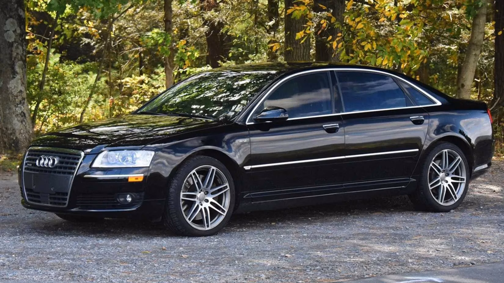 when-executive-sedans-learned-to-fight-the-transporter-s-german-icons-image-3