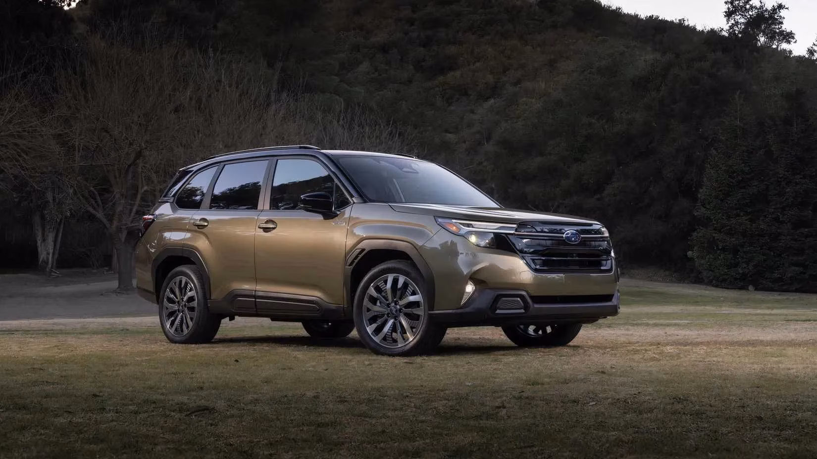 the-rise-of-hybrid-suvs-why-these-underrated-powerhouses-are-the-future-image-5